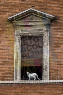 1°Maggio Spoleto a Colori - Foto Giulio Capoccioni