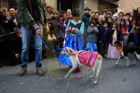 Cane..vale 2014