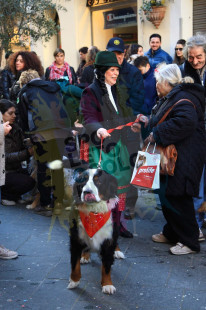 Cane..vale 2014