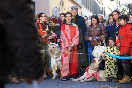 Cane..vale 2014