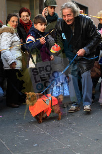 Cane..vale 2014