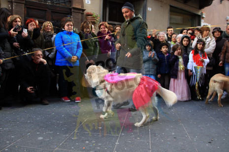 Cane..vale 2014